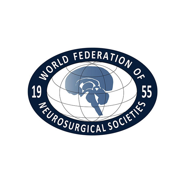 Formation of WFNS Global Neurosurgery Committee, Gail Rosseau and William Harkness invited members
